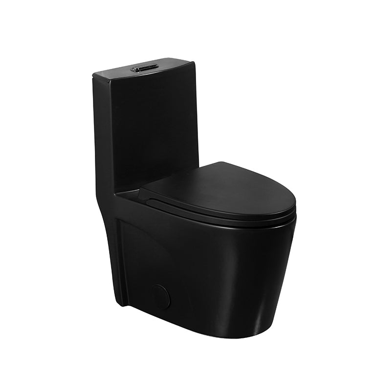 One-Piece Toilet with Siphonic Flush - Mat Black
