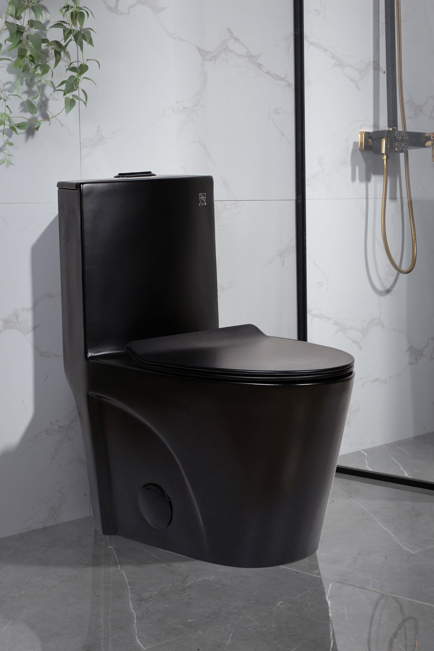 One-Piece Toilet with Siphonic Flush - Mat Black